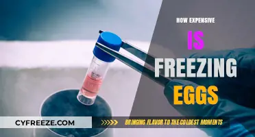 The Cost of Fertility Preservation: Freezing Eggs Expenses Explained