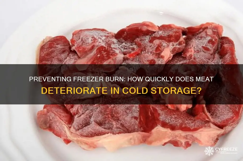 how fast can meat get freezer burn