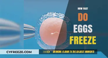 How Quickly Do Eggs Freeze? A Comprehensive Guide to Egg Freezing