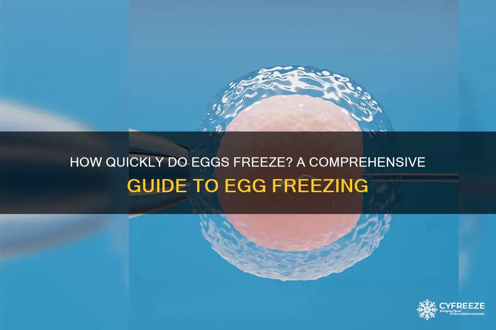 how fast do eggs freeze