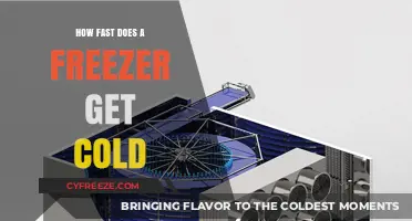How Quickly Does a Freezer Reach Optimal Cold Temperatures?