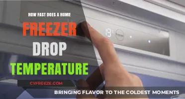 How Quickly Does a Home Freezer Reach Optimal Freezing Temperatures?