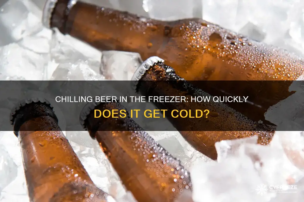 how fast does beer get cold in the freezer