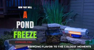 Chilling Insights: The Science Behind Pond Freezing Speeds