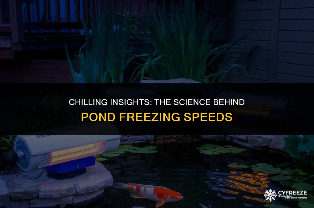 how fast will a pond freeze