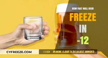 Chilling Brews: The Quick Freeze of Beer at -12°C