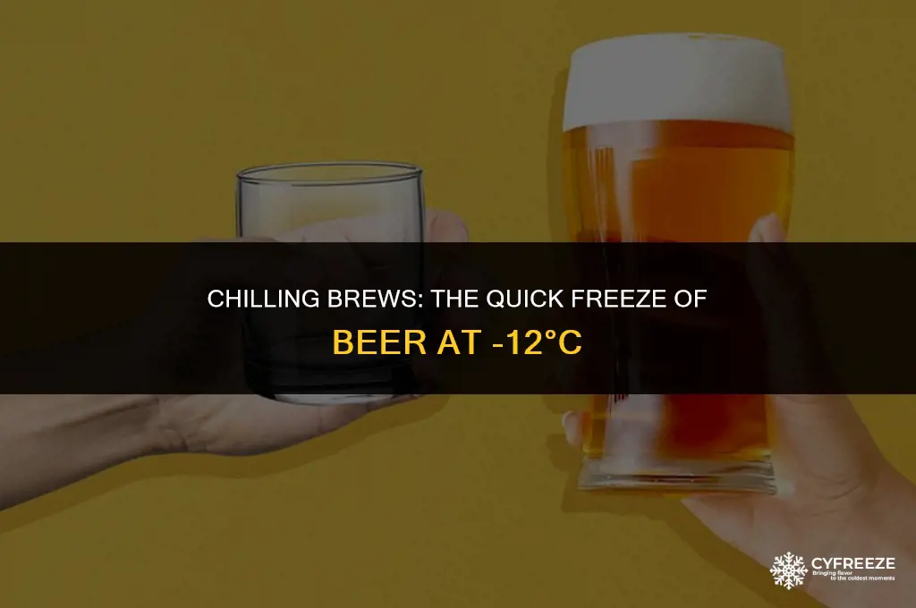 how fast will beer freeze in -12