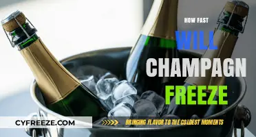 Chill or Spill: The Surprising Truth About Freezing Champagne