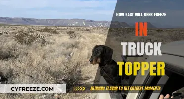 Deer in Truck Topper: Freezing Timeline and Safety Tips