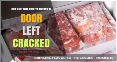 The Surprising Speed of Freezer Thawing: Door Left Cracked