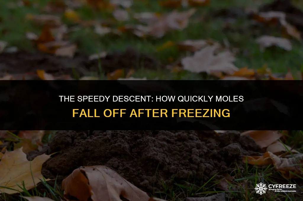 how fast will mole falls off after freezing