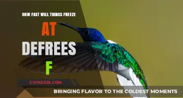 Chilling Insights: The Speed of Freezing at Subzero Temperatures