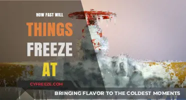 Rapid Freeze: Understanding the Speed of Frost Formation