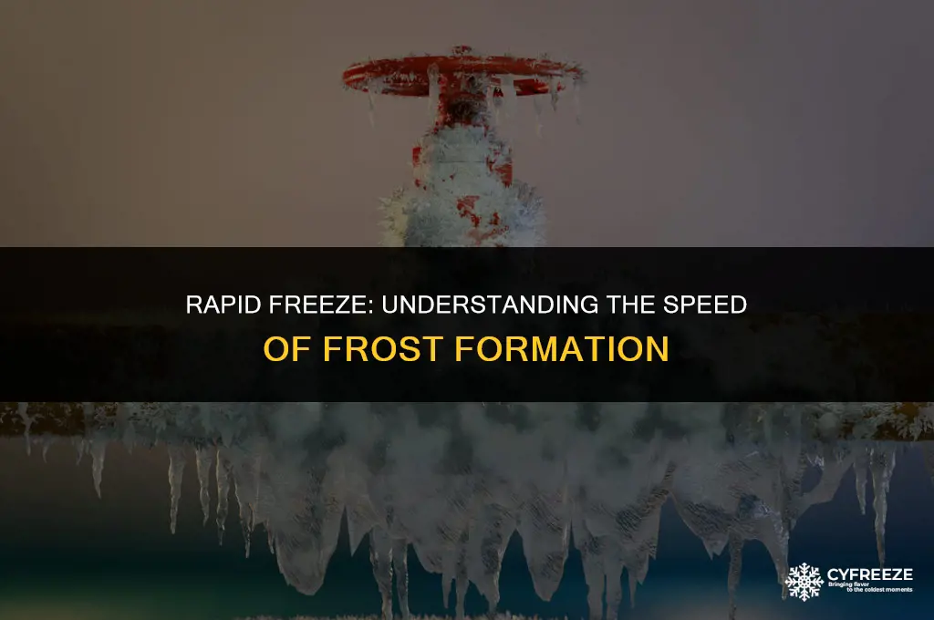 how fast will things freeze at