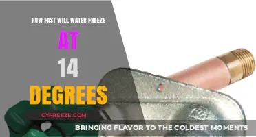 Chilling Insights: Water's Rapid Freeze at 14 Degrees Celsius