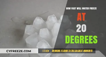 Chilling Insights: Water's Rapid Freeze at 20 Degrees Revealed