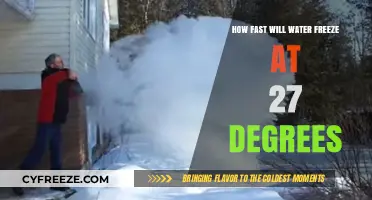 Chilling Insights: Water's Rapid Freeze at 27 Degrees Unveiled