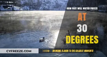 Chilling Insights: Water's Rapid Freeze at 30 Degrees Unveiled