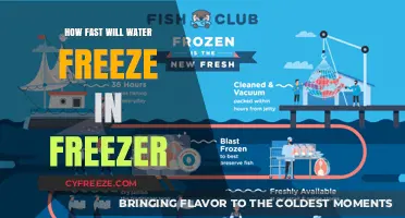 Chill Factor: The Speedy Journey of Water to Ice in Your Freezer