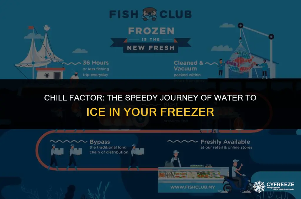 how fast will water freeze in freezer