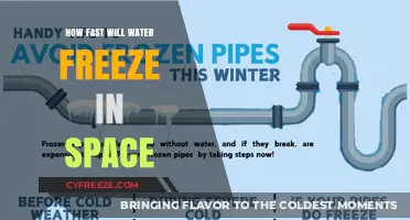 Exploring the Rapid Freeze: Water's Cosmic Transformation