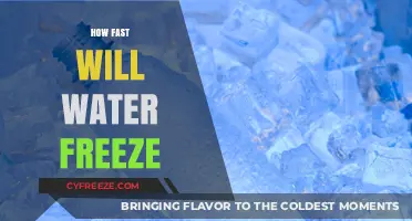 Chilling Insights: The Surprising Speed of Water Freezing