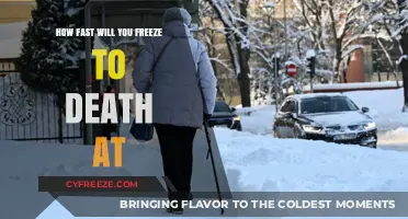 Chilling Insights: The Deadly Freeze - How Cold Can You Go?