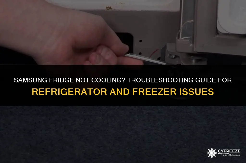 how fix refrigerator samsung not cooling fridge freezer problems