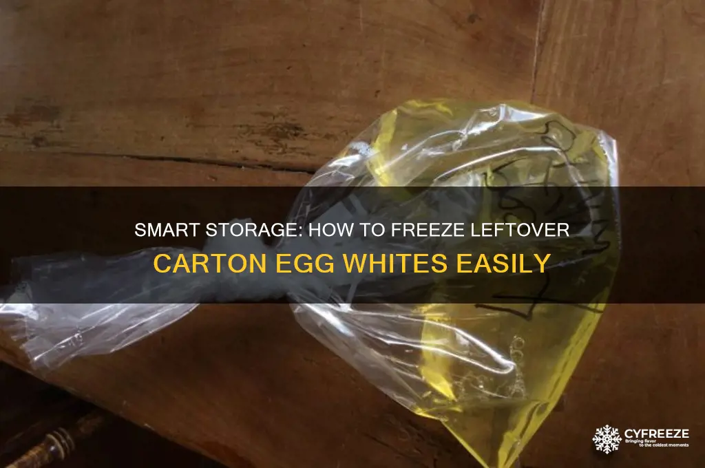 how freeze leftover carton egg white