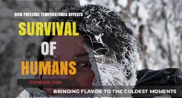 Surviving the Cold: How Freezing Temperatures Impact Human Survival
