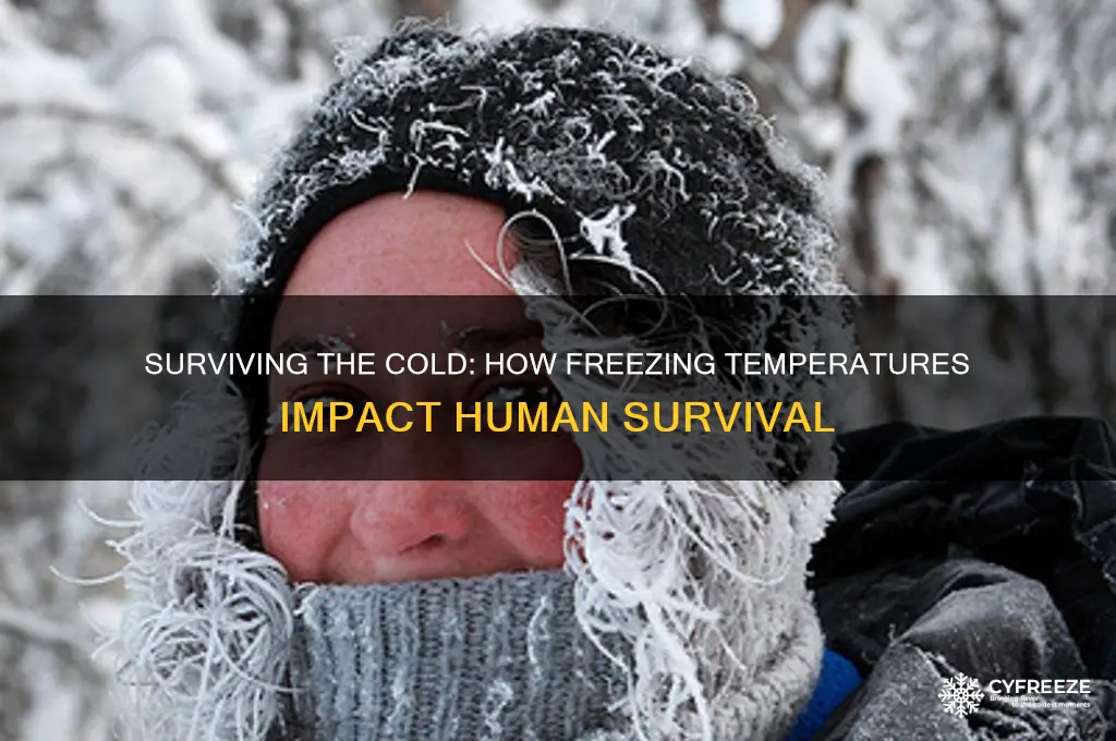 how freezing temperatures affects survival of humans