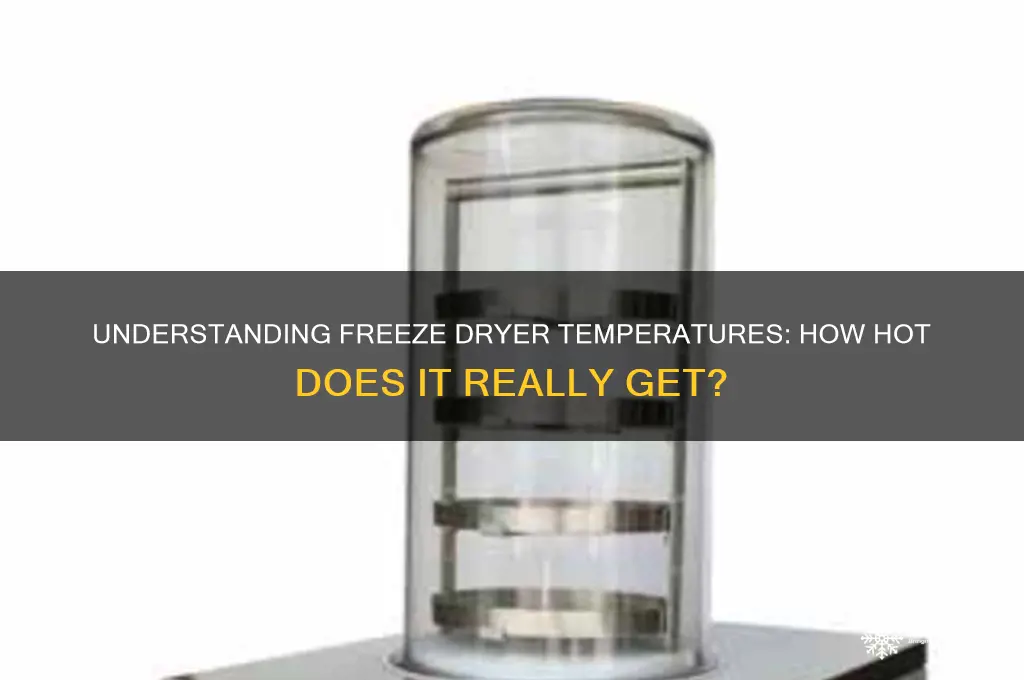 how hot does a freeze dryer get