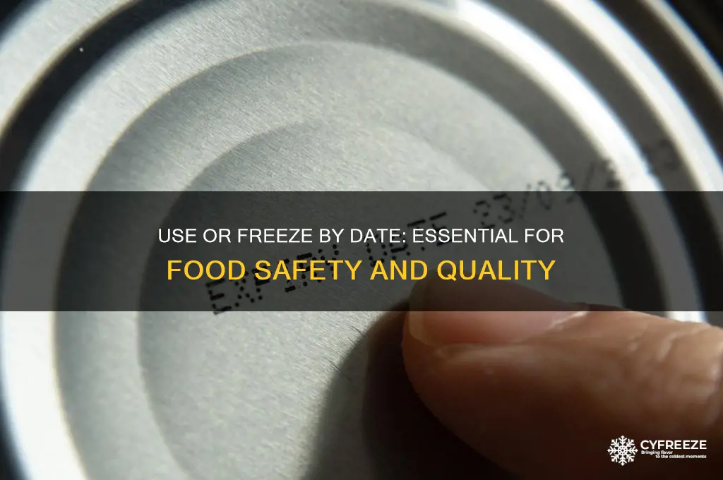 how important is the use or freeze by date