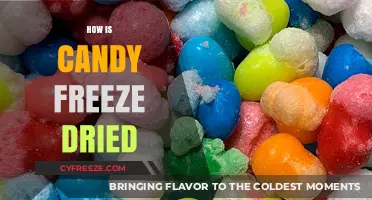 The Sweet Science Behind Freeze-Dried Candy: A Delicious Transformation
