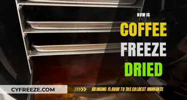From Bean to Instant: The Fascinating Process of Coffee Freeze-Drying