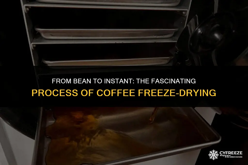 how is coffee freeze dried