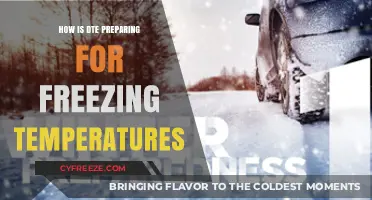 DTE's Winter Readiness: Strategies to Combat Freezing Temperatures