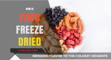 The Art of Food Preservation: Understanding Freeze Drying