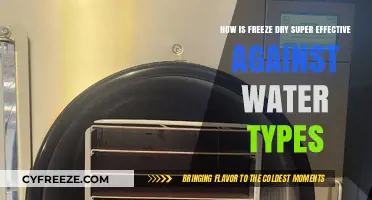 Unlocking the Power of Freeze-Drying: A Water-Type Combat Guide