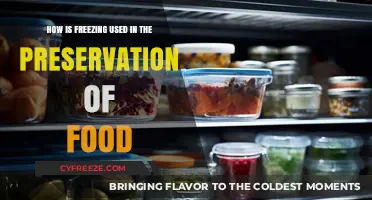 Freezing Food: A Powerful Preservation Method for Freshness and Safety