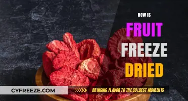 From Orchard to Snack: The Fascinating Process of Freeze-Drying Fruit