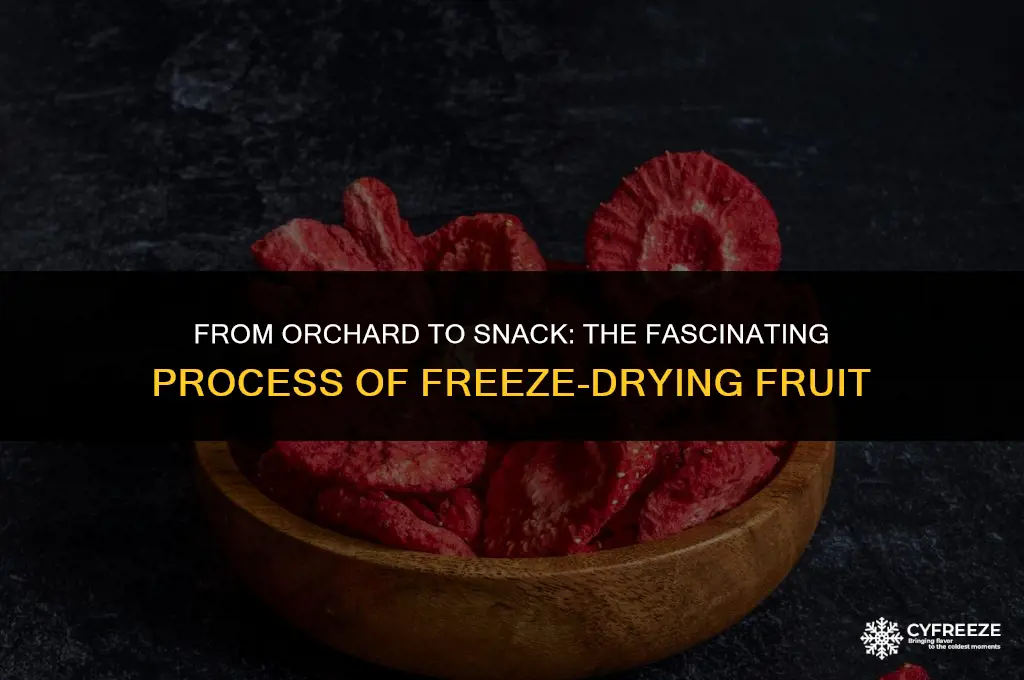 how is fruit freeze dried