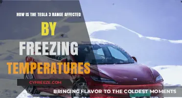 How Freezing Temperatures Impact Tesla Model 3 Range Performance