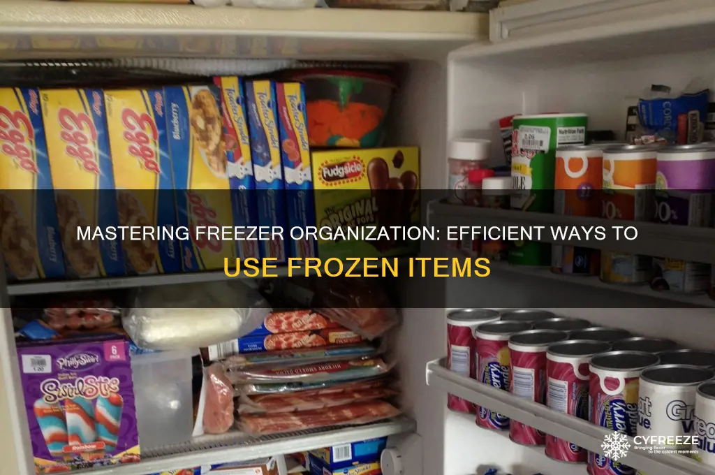 how kokbg to use items in freezer