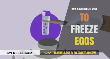 Egg Freezing Costs: What to Expect for Fertility Preservation