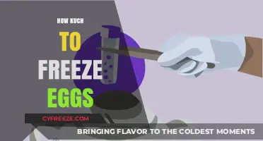 Egg Freezing Costs: What to Expect and Budget For
