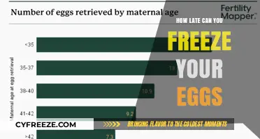 Optimal Timing for Egg Freezing: Maximizing Success and Fertility Options