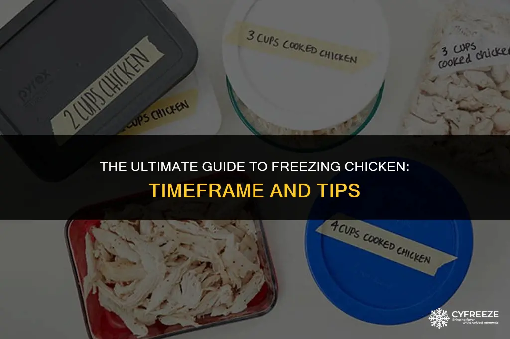 how ling can you freeze chicken