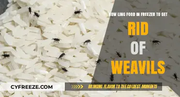 Freezing Food to Eliminate Weevils: How Long is Enough?
