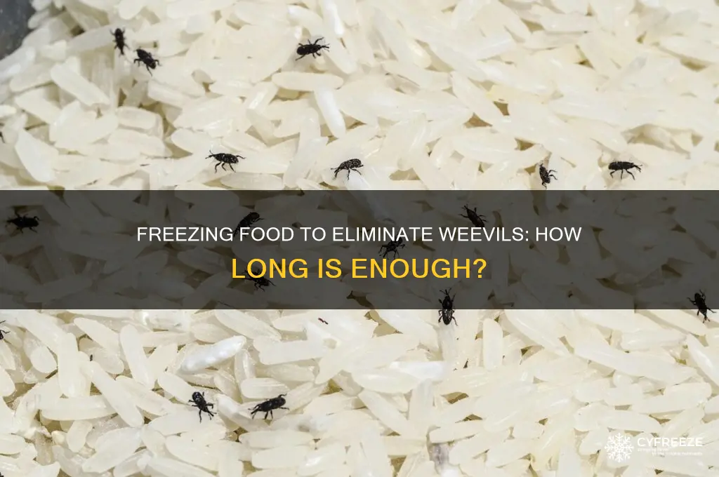 how ling food in freezer to get rid of weavils